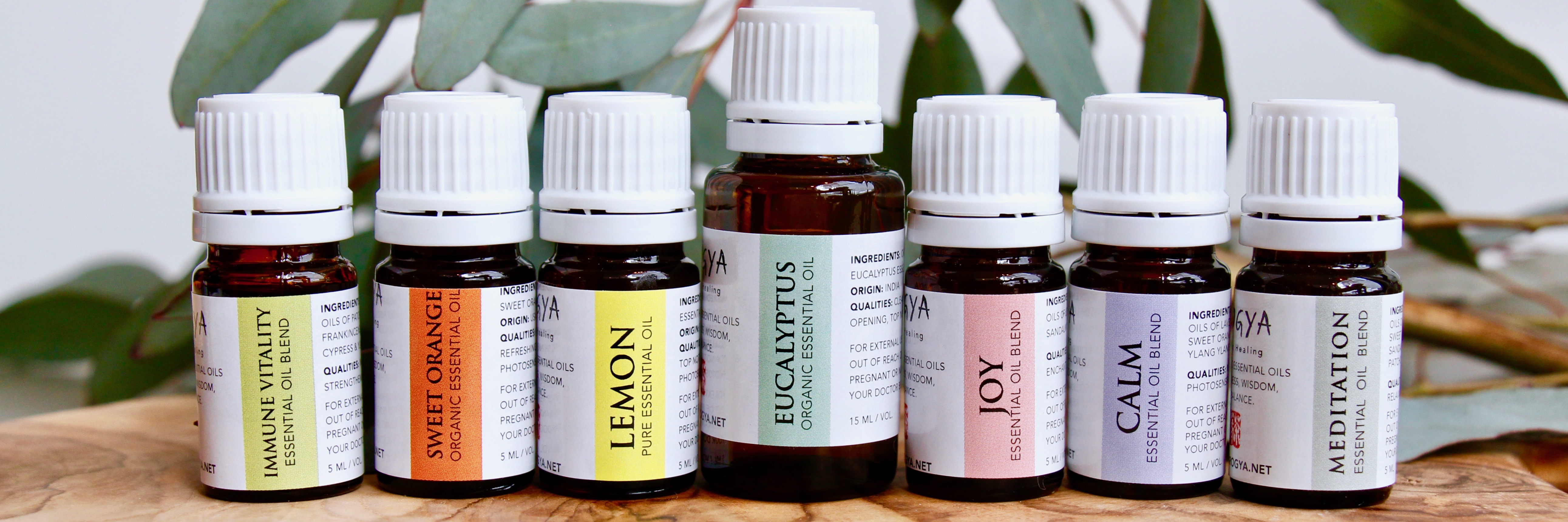 Aromatherapy 101 What are Essential Oils & How to Use Them